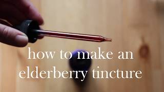 How to Make an Elderberry Tincture [upl. by Benny]