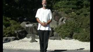 Stehende Säule Qigong Ausbildung Dr Langhoff [upl. by Dygal695]