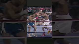 Sugar Ray Leonard Defeats Wilfred Benitez  Craftsmen of The Ring 💥 boxing [upl. by Egiaf66]