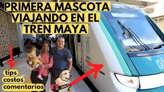 TREN MAYA Nuestro PRIMER Viaje ¿Cómo nos fué Tips y Comentarios [upl. by Jacqui]