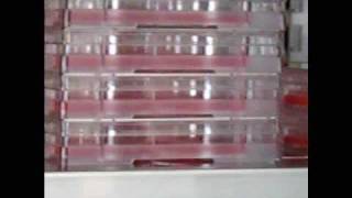 TPP Cell Culture Plates wwwmidscicom [upl. by Cattima]