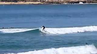 CENTRAL COAST  PELICAN BIRDIE WAMBERAL TERRIGAL  SURF [upl. by Sedruol]