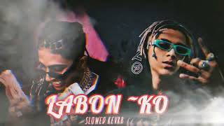 MC Stan LABON KO ⚡ Vijay DK slowed  reverb music video [upl. by Hacim]