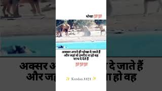 Aksar Apne hi dhoka de jaate hai 🥺😳 imotional motivation viralvideo shortsfeed [upl. by Alica]