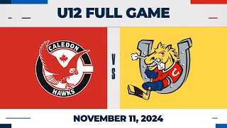 Barrie Colts vs Caledon Hawks  U12  Nov 11 2024 [upl. by Fahey556]