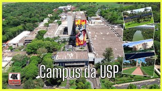 USP Universidade de São Paulo  Ribeirão Preto Campus está entre as 100 melhores do mundo 4k [upl. by Ailahs813]