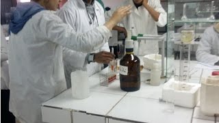 Etude de lenzyme invertase Travaux pratiques [upl. by Boardman]