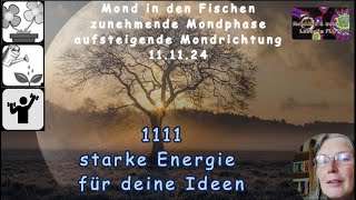 MondTIPP  1111  starke Energie um deine Ideen umzusetzen [upl. by Pederson400]