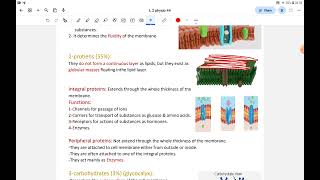 L2physioCell membraneampIntercellular communication🍓 [upl. by Nylemaj]