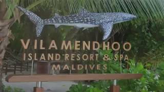 Vilamendhoo Island Resort amp Spa Breakfast Buffet [upl. by Adien]