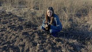 Our First Cover Crop Seeds Are Germinating On The New Farm [upl. by Lorilee824]