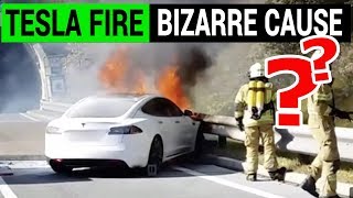 The Cause of this Tesla Fire Will quotBlowquot Your Mind [upl. by Anstice]