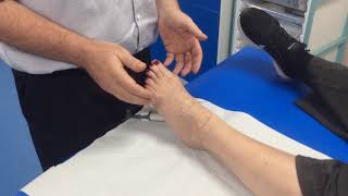 How to check for the dorsalis pedis amp anterior tibial pulse with a Doppler [upl. by Otilrac]