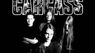 Extreme Metal Bass Riffs Compilation [upl. by Ylac44]