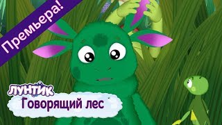 Говорящий лес 🌿 Лунтик 🌲 Новая серия  491  Премьера [upl. by Adnirol]