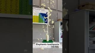 Elephants toothpaste science teacher chemistry students project elephantstoothpaste fun [upl. by Nyrrek]