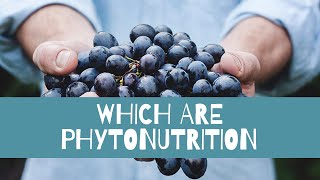 Phyto Nutrition Part 2 [upl. by Hannad]