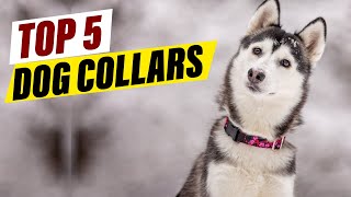 Dog Collar Showdown Which One is Right for Your Pup [upl. by Yleak]