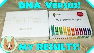 Results Comparison  AncestryDNA vs 23andMe  Genetic DNA Tests [upl. by Rayburn]