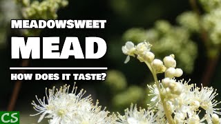 Meadowsweet Mead Tasting  Something Surprising Happened [upl. by Hsivat17]