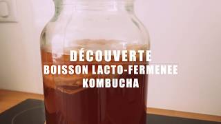 Comment réaliser facilement son Kombucha maison [upl. by Ratib621]