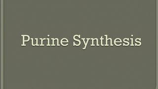 Purine Synthesis Pathway Memorize within 2min [upl. by Akehsay]