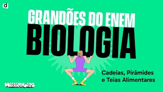 Cadeias Teias e Pirâmides Alimentares  Ecologia [upl. by Brunk]