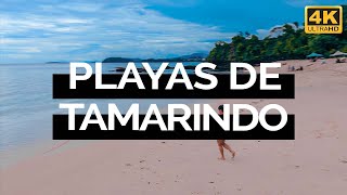 Playas de Tamarindo Costa Rica 4K [upl. by Anica]