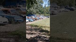 BARN FINDS  Junkyard Full of Old PontiacsFord CamarosMustangsCadillacs and More automobile [upl. by Dorri]