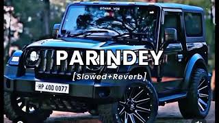 PARINDEY  Slowed  Reverb  Abreeq Alam [upl. by Germaine930]