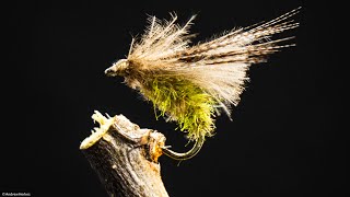 Fly Tying for beginners  CDC Caddis Emerger Dry Fly [upl. by Anima270]