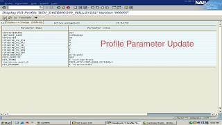 SAP Profile parameter update in RZ10 [upl. by Hgielah]