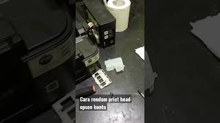 printer epson l210 cara merendam head buntu shorts jackarif jackarif [upl. by Yekcin]