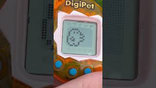 Digipet [upl. by Debee947]