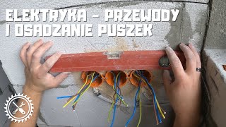 Elektryka  układanie przewodów i osadzanie puszek Samodzielne wykonanie instalacji elektrycznej [upl. by Lubbi6]