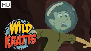 Wild Kratts  Diggers  Kids Videos [upl. by Amata474]