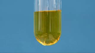 Test for Oxidizing Agent using aquous Potassium Iodide [upl. by Anomahs]