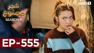 ShajareMamnu  Episode 555  Turkish Drama  Forbidden Fruit  Urdu Dubbing  23rd May 2023 [upl. by Lelia]