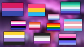 Pride flags and what they mean Part 1 [upl. by Allehc243]