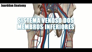 Veias do Membro Inferior [upl. by Ainyt54]