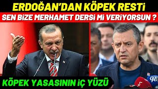 Erdoğanın Köpek RESTİ ve Yasanın İÇ YÜZÜ [upl. by Nahej]