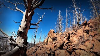 Blodgett Peak  Toughest Trail Hike In Colorado Springs coloradosprings coloradohiking [upl. by Tlihcox]