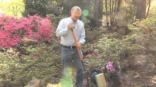 Walter Reeves – Planting Azaleas [upl. by River273]