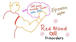 Erythropoietin EPO amp Red Blood Cells RBCs  Oxygenation  Endurance  Exercise [upl. by Olinad]