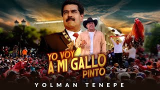 YOLMAN TENEPE  YO VOY A MI GALLO PINTO [upl. by Marianna78]