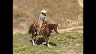 SOLD  TS Bufford quotThree Socksquot 2006 AQHA chestnut gelding [upl. by Bahe]