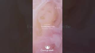 on the ground lyrics video kpop blackpink rosé like subscribe share lyrics ontheground [upl. by Hctim]