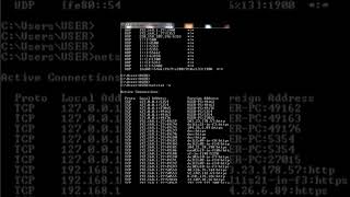 netstat Dig Command and arp  netstat o  netstat a shorts short viral dns [upl. by Porche]