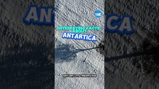 Antarcticas Hidden Wonders Finally Exposed [upl. by Eseilana]