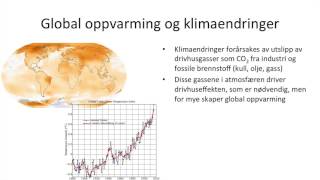 Samfunnsfag  Økonomisk vekst og bærekraftig utvikling [upl. by Roane]